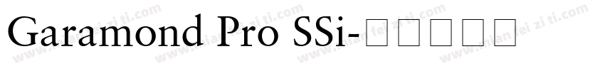 Garamond Pro SSi字体转换